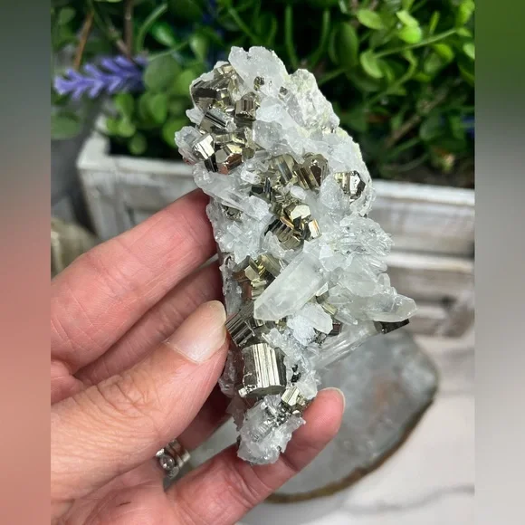 Pyrite with Quartz